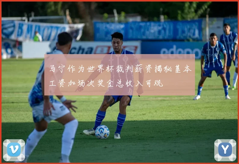 马宁作为世界杯裁判薪资揭秘基本工资加场次奖金总收入可观