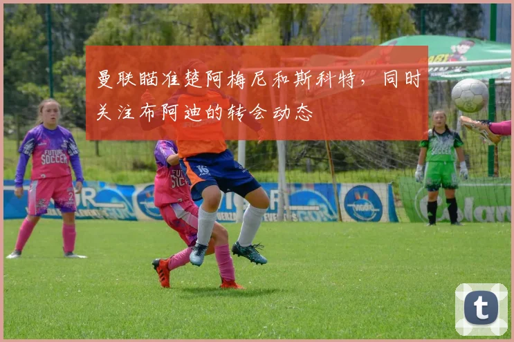 曼联瞄准楚阿梅尼和斯科特，同时关注布阿迪的转会动态