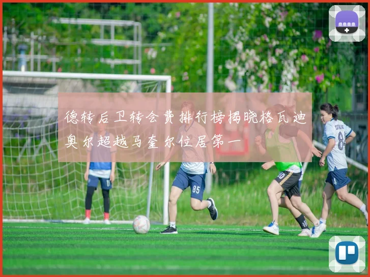 德转后卫转会费排行榜揭晓格瓦迪奥尔超越马奎尔位居第一