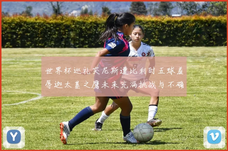 世界杯巡礼突尼斯遭比利时五球羞辱迦太基之鹰未来充满挑战与不确定性